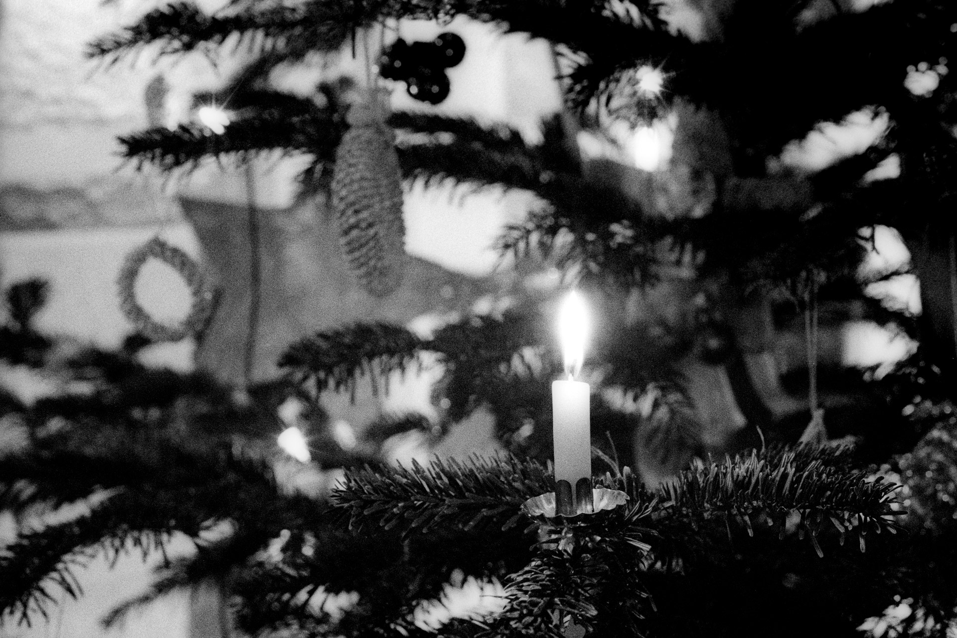 © Martin Frech: Kerze am Weihnachts­baum (Berlin, 2008)